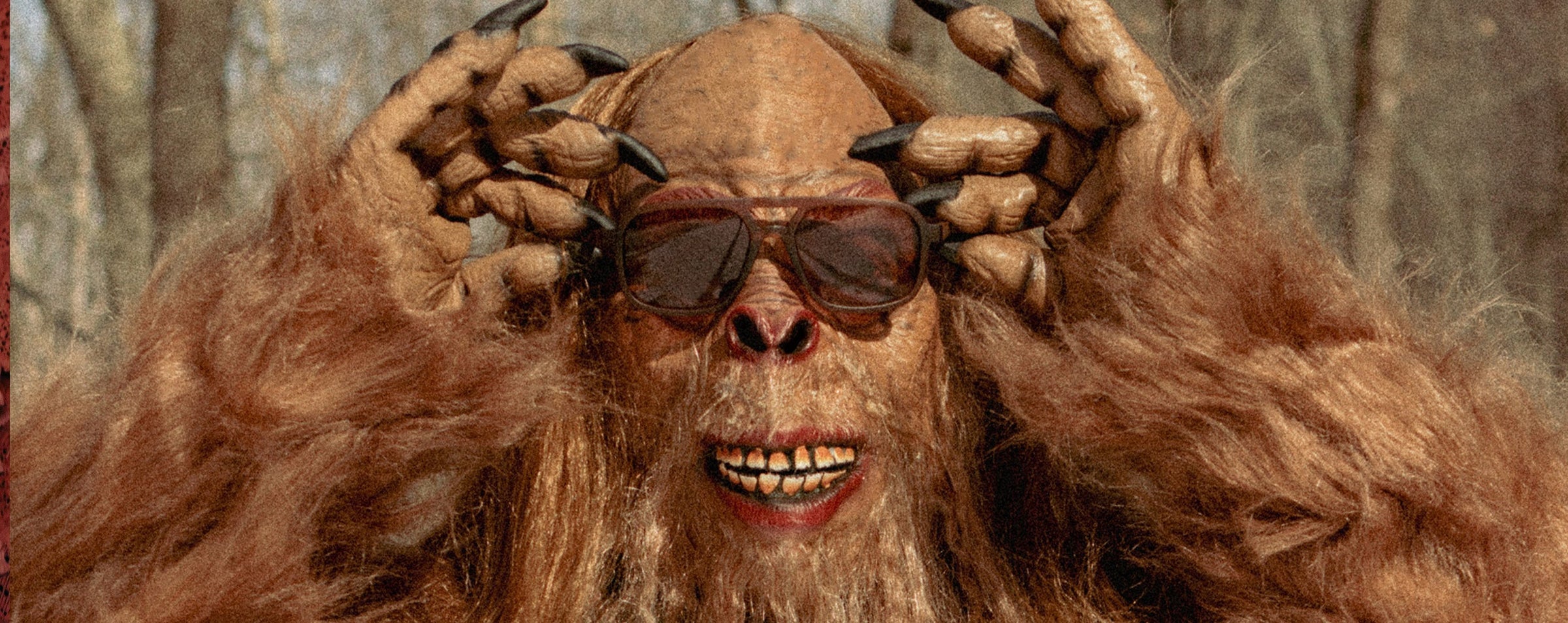 Bigfoot Collection
