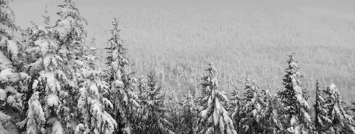 Winter Archive Sale